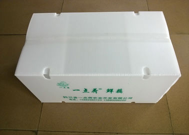 Складные пластиковые коробки с отверстиями воздуха обеспечивая циркуляцию для транспортировать овощи