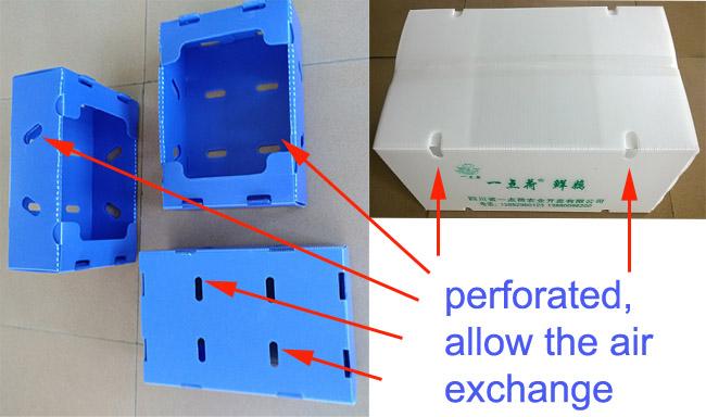 пефорированные пластиковые коробки для того чтобы позволить обмену воздуха